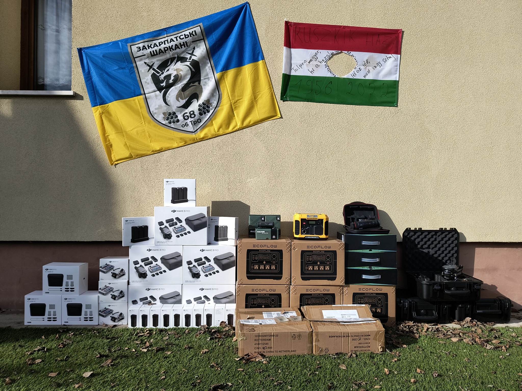 Sárkányellátó